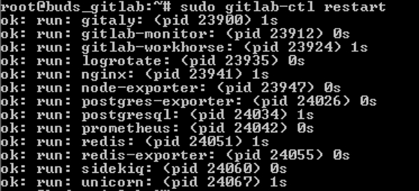 Redémarrage des services GitLab