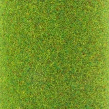 herbe