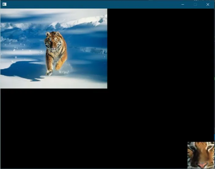 Zoom du tigre