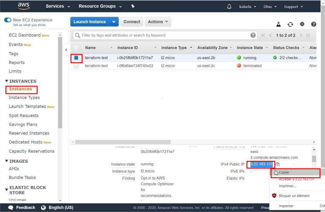 Copier l'adresse IP de notre instance EC2