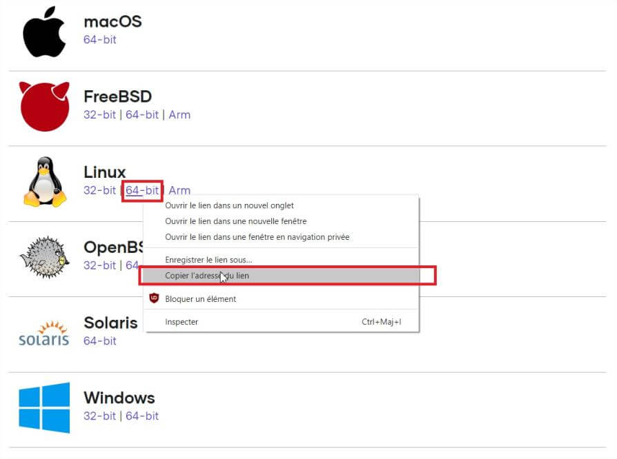 Choix du binaire Terraform Linux