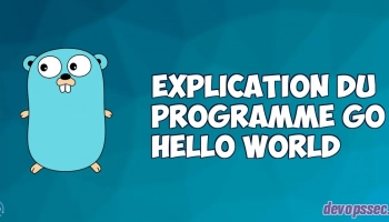 image de l'article Explication pas à pas du programme GO hello world