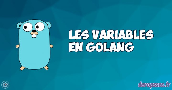 image de l'article Les variables dans le langage de programmation Go