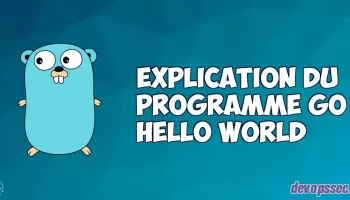 Explication pas à pas du programme GO hello world