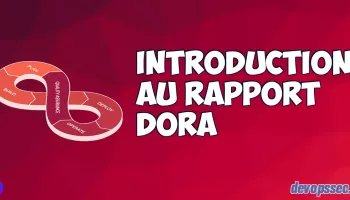 image de l'article Introduction au rapport DORA