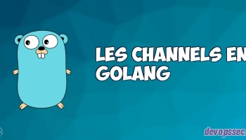 image de l'article Les channels dans le langage de programmation Go
