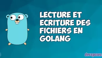 image de l'article Lire et écrire dans un fichier dans le langage de programmation Go