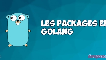 Les packages dans le langage de programmation Go