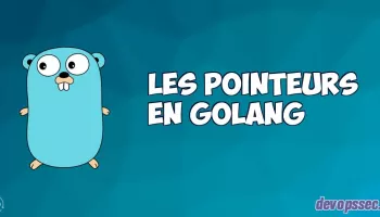 Les pointeurs dans le langage de programmation Go