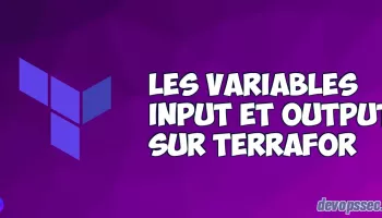 image de l'article Les variables Input et Output